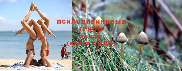 mdpv Вязьма